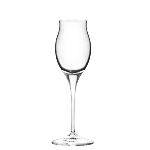 RCR Glass Invino Spirits I10 100 ml - Transparent