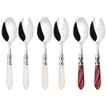 Bugatti Cutleries Aladdin Chromed Ring 2-Piece Salad Set in Gift Box N4214/15